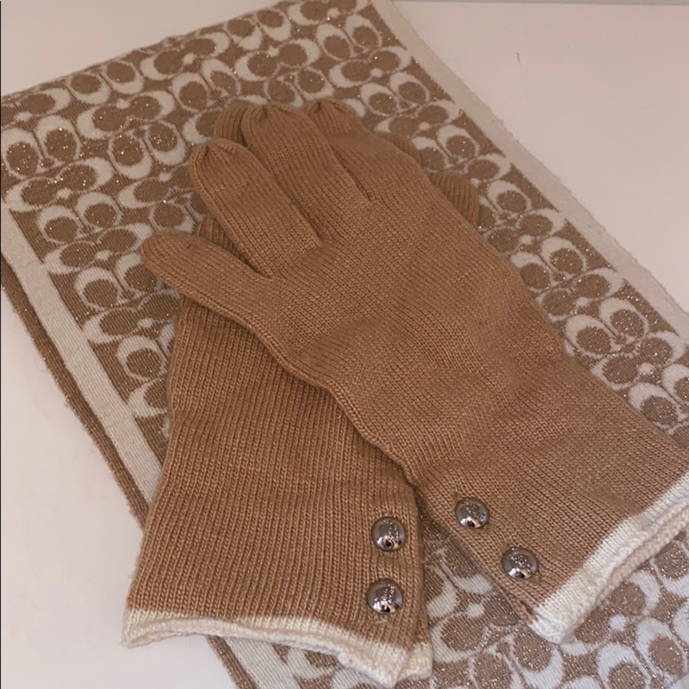 Coach Scarf and Brown Gloves